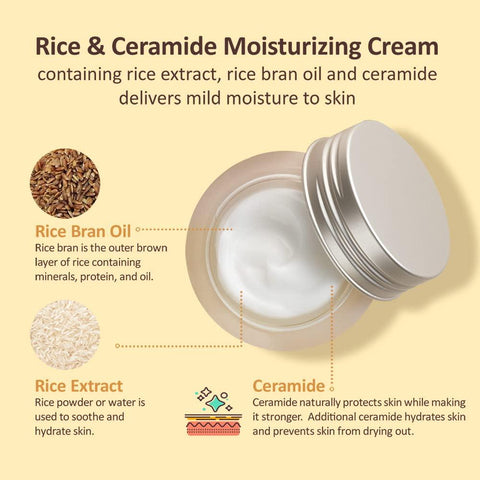 The Face Shop Rice & Ceramide Moisturizing Cream – 50ml