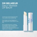 Dr.Belmeur Daily Repair Moisture Lip Balm – 4.4g The Face Shop