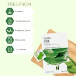 The Face Shop Real Nature Mask Sheet Aloe 2017 – 20g The Face Shop