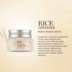 The Face Shop Rice & Ceramide Moisturizing Cream – 50ml The Face Shop