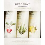 Herb Day 365 Master Blending Foaming Cleanser Set The Face Shop