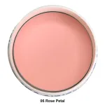 Fmgt Pastel Cushion Blusher 06 – 6g The Face Shop
