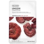 The Face Shop Real Nature Lingzhi Face Mask – 20g The Face Shop