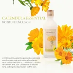 The Face Shop Calendula Essential Moisture Emulsion – 150ml The Face Shop