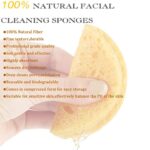 The Face Shop Facial Cleansing Sponge Cellulose The Face Shop