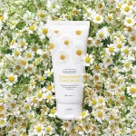 The Face Shop Real Nature Foaming Cleanser Chamomile – 120ml The Face Shop