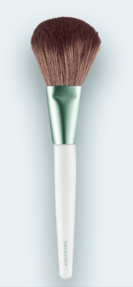 fmgt.MULTIPOWDERBRUSH The Face Shop